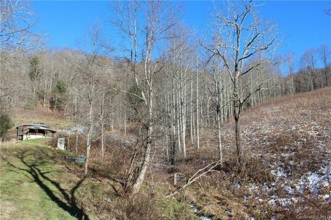 173 S Fork Rd, Marshall, NC 28753 photo 9