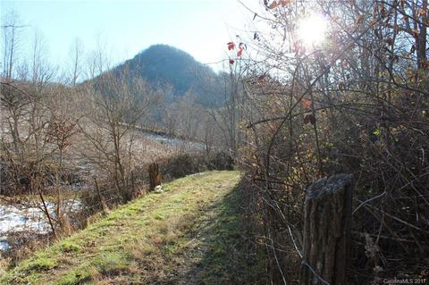 173 S Fork Rd, Marshall, NC 28753 photo 8