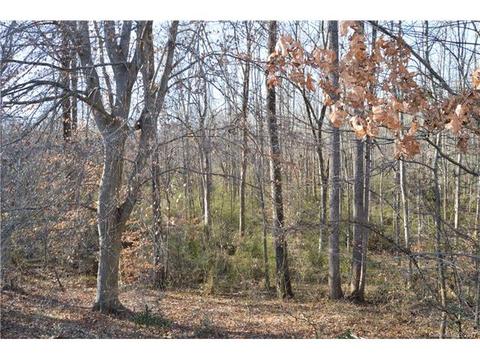 831 Whitesides Rd, Crouse, NC 28033 photo 13