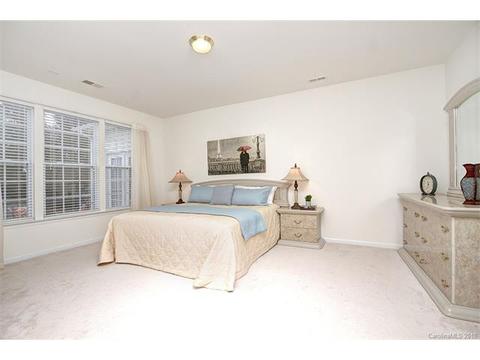 915 Platinum Dr, Fort Mill, SC 29708 photo 16