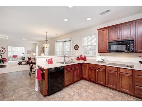 915 Platinum Dr, Fort Mill, SC 29708 photo 10