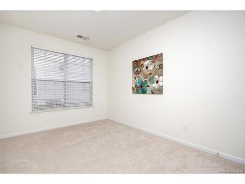 915 Platinum Dr, Fort Mill, SC 29708 photo 20