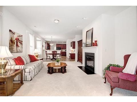 915 Platinum Dr, Fort Mill, SC 29708 photo 14