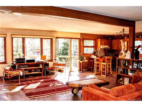 420 Artesian Ln, Tryon, NC 28782 photo 3