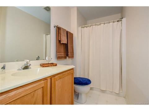 17819 Delmas Dr, Cornelius, NC 28031 photo 21