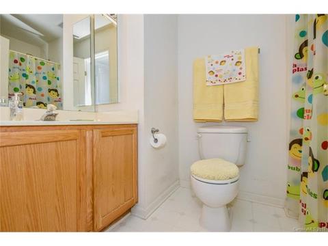 17819 Delmas Dr, Cornelius, NC 28031 photo 23