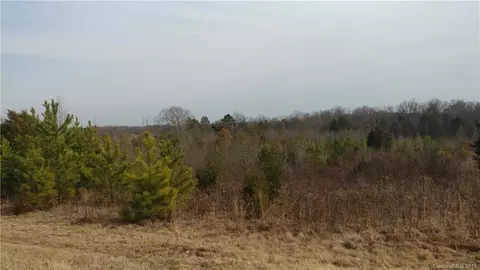 8475 County Line Rd, Mount Pleasant, NC 28124 photo 3