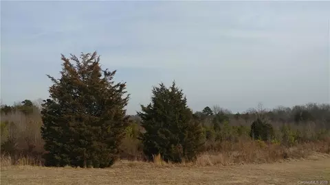 8475 County Line Rd, Mount Pleasant, NC 28124 photo 2
