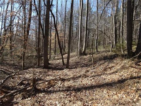 172 Williamsburg Rd, Olin, NC 28660 photo 19