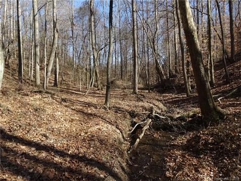 172 Williamsburg Rd, Olin, NC 28660 photo 20