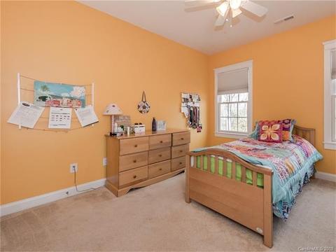 677 Revival Row, Fort Mill, SC 29708 photo 28