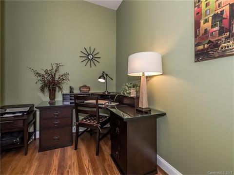 677 Revival Row, Fort Mill, SC 29708 photo 10