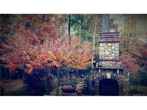 677 Revival Row, Fort Mill, SC 29708 photo 6