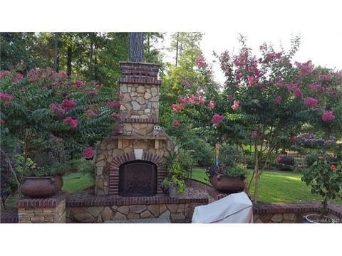 677 Revival Row, Fort Mill, SC 29708 photo 5