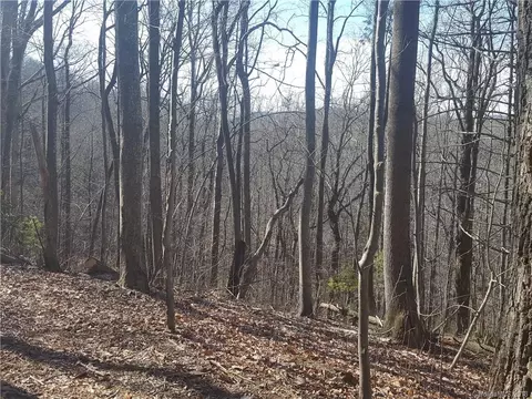 770 Pearson Falls Rd, Saluda, NC 28773 photo 15