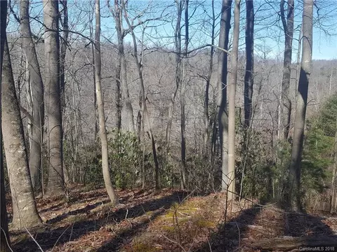770 Pearson Falls Rd, Saluda, NC 28773 photo 11