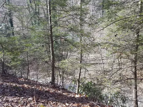 770 Pearson Falls Rd, Saluda, NC 28773 photo 26