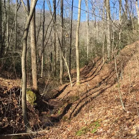 770 Pearson Falls Rd, Saluda, NC 28773 photo 2