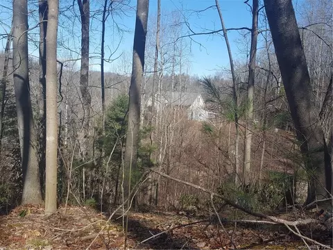 770 Pearson Falls Rd, Saluda, NC 28773 photo 13