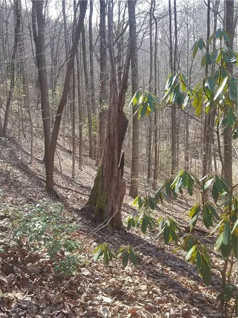770 Pearson Falls Rd, Saluda, NC 28773 photo 10