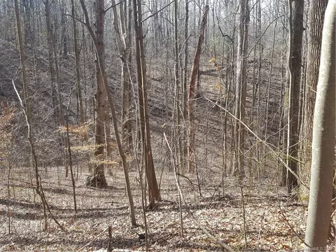 770 Pearson Falls Rd, Saluda, NC 28773 photo 18