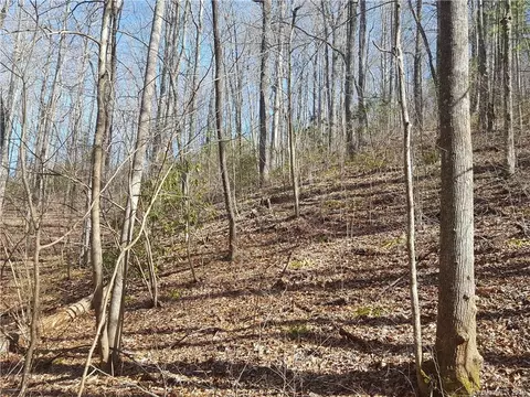 770 Pearson Falls Rd, Saluda, NC 28773 photo 19