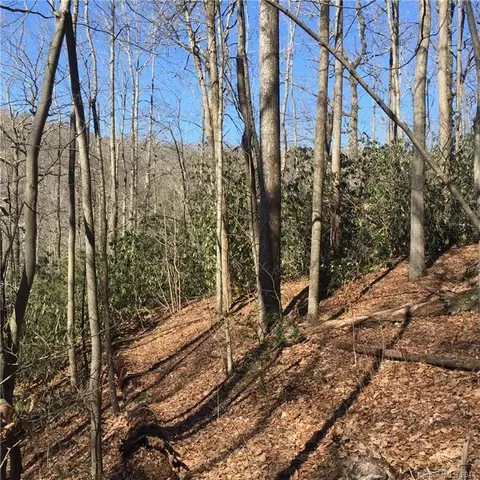 770 Pearson Falls Rd, Saluda, NC 28773 photo 4