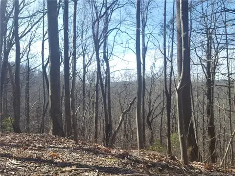 770 Pearson Falls Rd, Saluda, NC 28773 photo 14