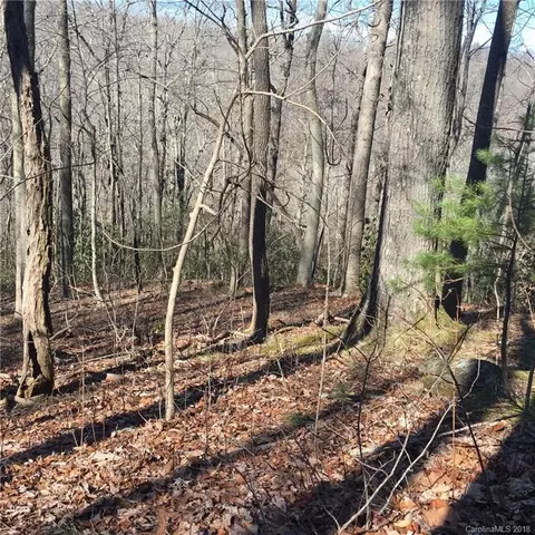 770 Pearson Falls Rd, Saluda, NC 28773 photo 3