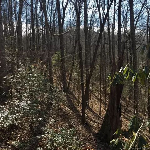 770 Pearson Falls Rd, Saluda, NC 28773 photo 8