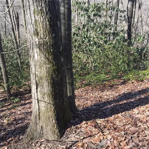 770 Pearson Falls Rd, Saluda, NC 28773 photo 7