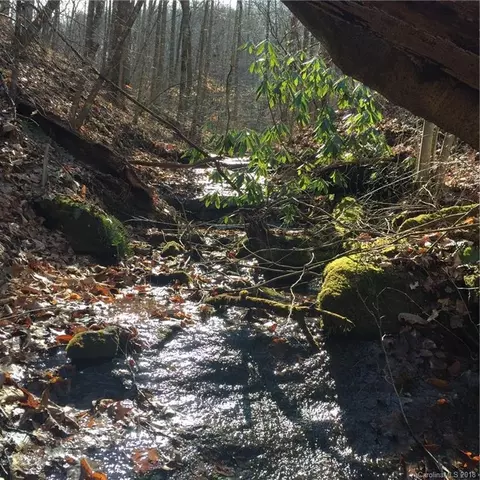 770 Pearson Falls Rd, Saluda, NC 28773 photo 9