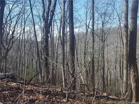 770 Pearson Falls Rd, Saluda, NC 28773 photo 12