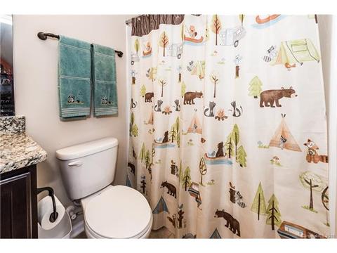 1060 Jack Pine Rd, Clover, SC 29710 photo 29