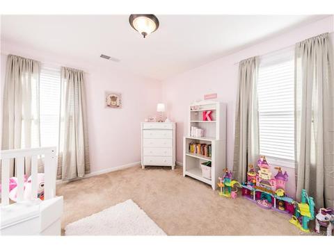 1060 Jack Pine Rd, Clover, SC 29710 photo 27