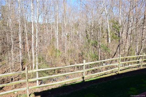 10832 Clark St, Davidson, NC 28036 photo 35