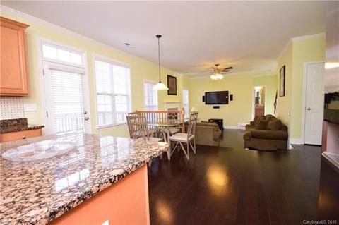 10832 Clark St, Davidson, NC 28036 photo 17