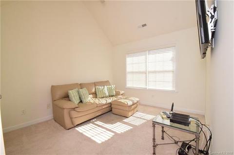10832 Clark St, Davidson, NC 28036 photo 23
