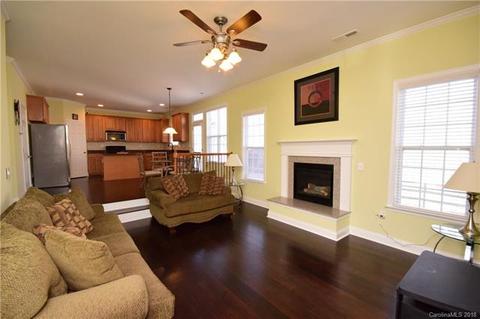 10832 Clark St, Davidson, NC 28036 photo 10