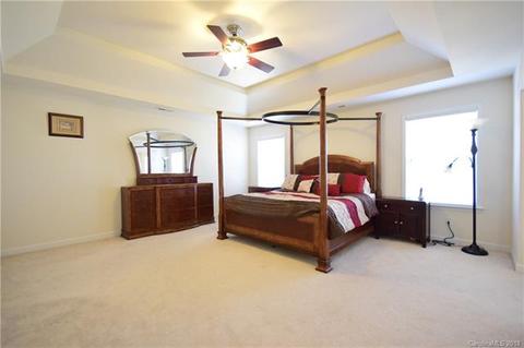 10832 Clark St, Davidson, NC 28036 photo 21