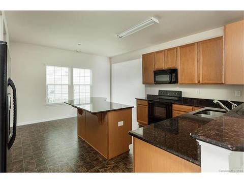 10942 Tailwater St, Davidson, NC 28036 photo 3