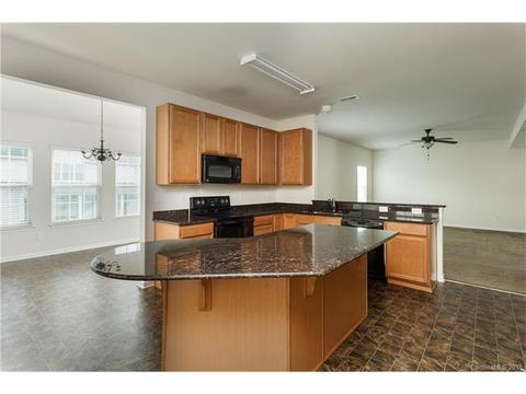 10942 Tailwater St, Davidson, NC 28036 photo 2