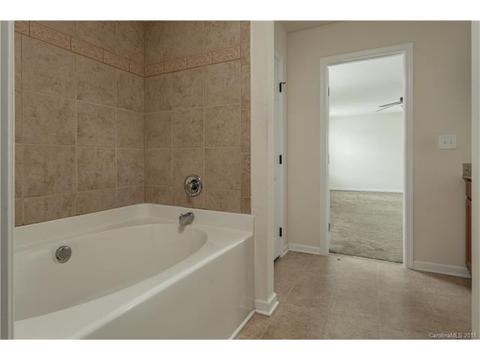10942 Tailwater St, Davidson, NC 28036 photo 12