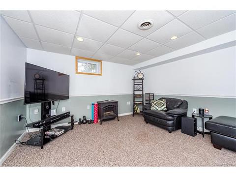 8 Forge Dr, Mills River, NC 28759 photo 19