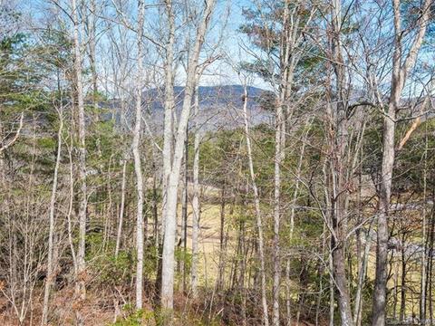 11 Whitaker View Rd, Fairview, NC 28730 photo 24