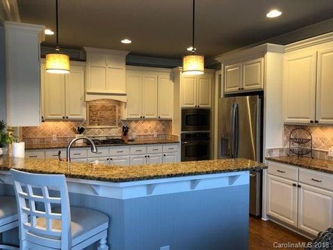 13339 Robert Walker Dr, Davidson, NC 28036 photo 6
