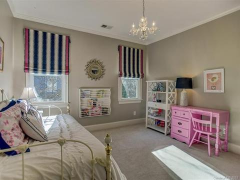 19804 River Falls Dr, Davidson, NC 28036 photo 18