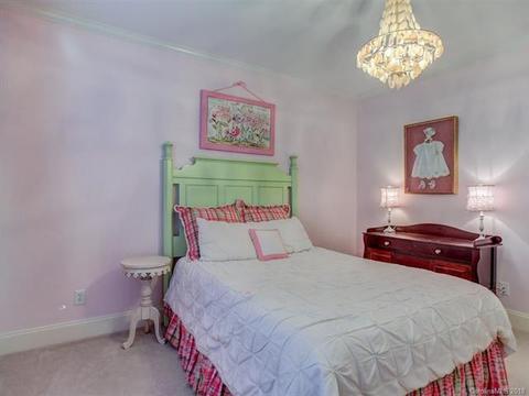 19804 River Falls Dr, Davidson, NC 28036 photo 17