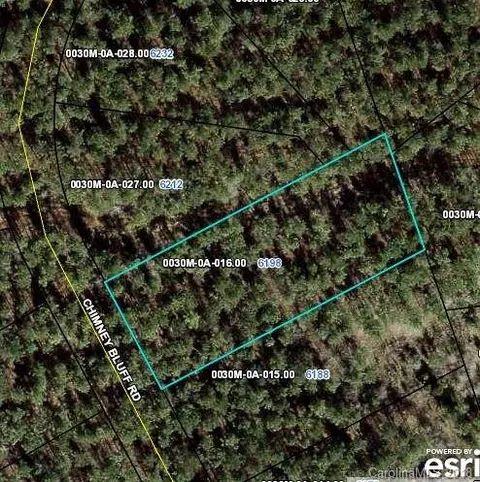 6198 Chimney Bluff Rd, Lancaster, SC 29720 photo 1