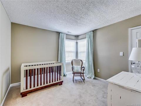 21134 Crealock Pl, Cornelius, NC 28031 photo 13